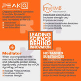 Genius Muscle Health Powder – Fuel your workout with creatine and electrolytes, 180 servings.